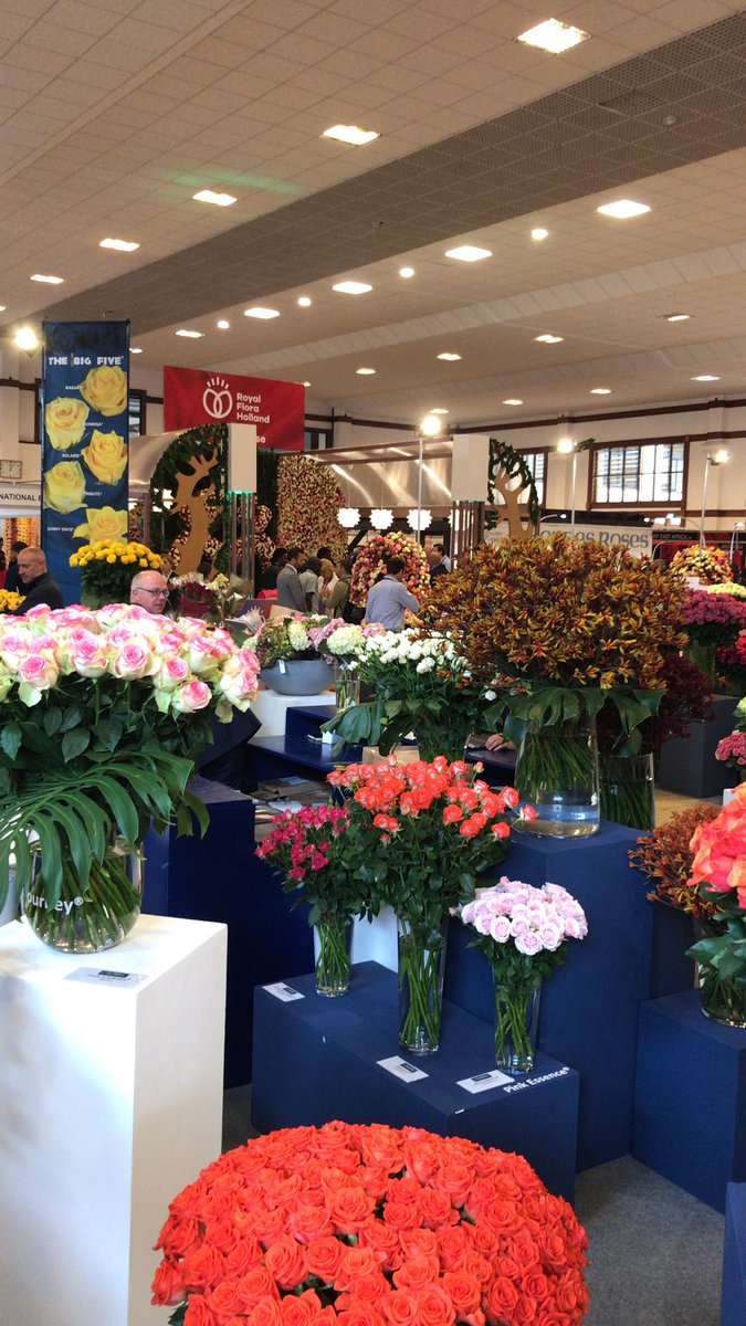 AmbBrouwer's tweet photo. #iftex2018 in Nairobi now happening in Oshwal Center Westlands. A sea of flowers a feast for the eye! @NLinKenya https://t.co/Ke7rX7IEwn