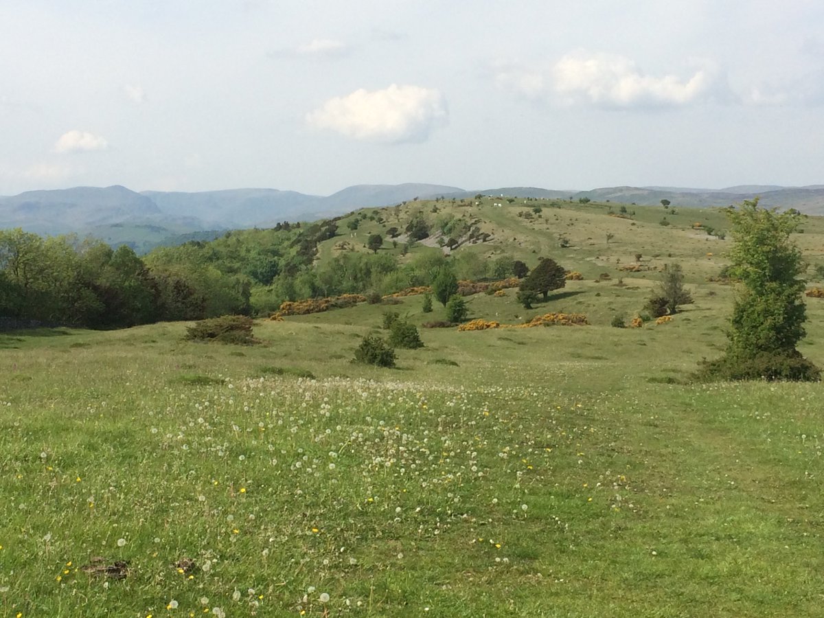 septemberbooks's tweet photo. The joy of working remotely in June.
#lunchtimerocks #cunswickscar https://t.co/ou9YNgMp93