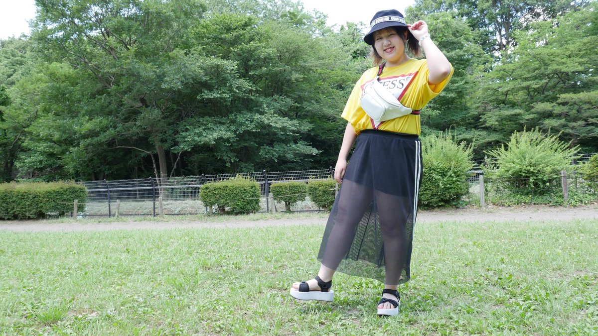 焼きのりさん 本日のわんわんディスティニー 画像bottwitter化している T Co Movuwusx0w 夏っぽいことがしたい