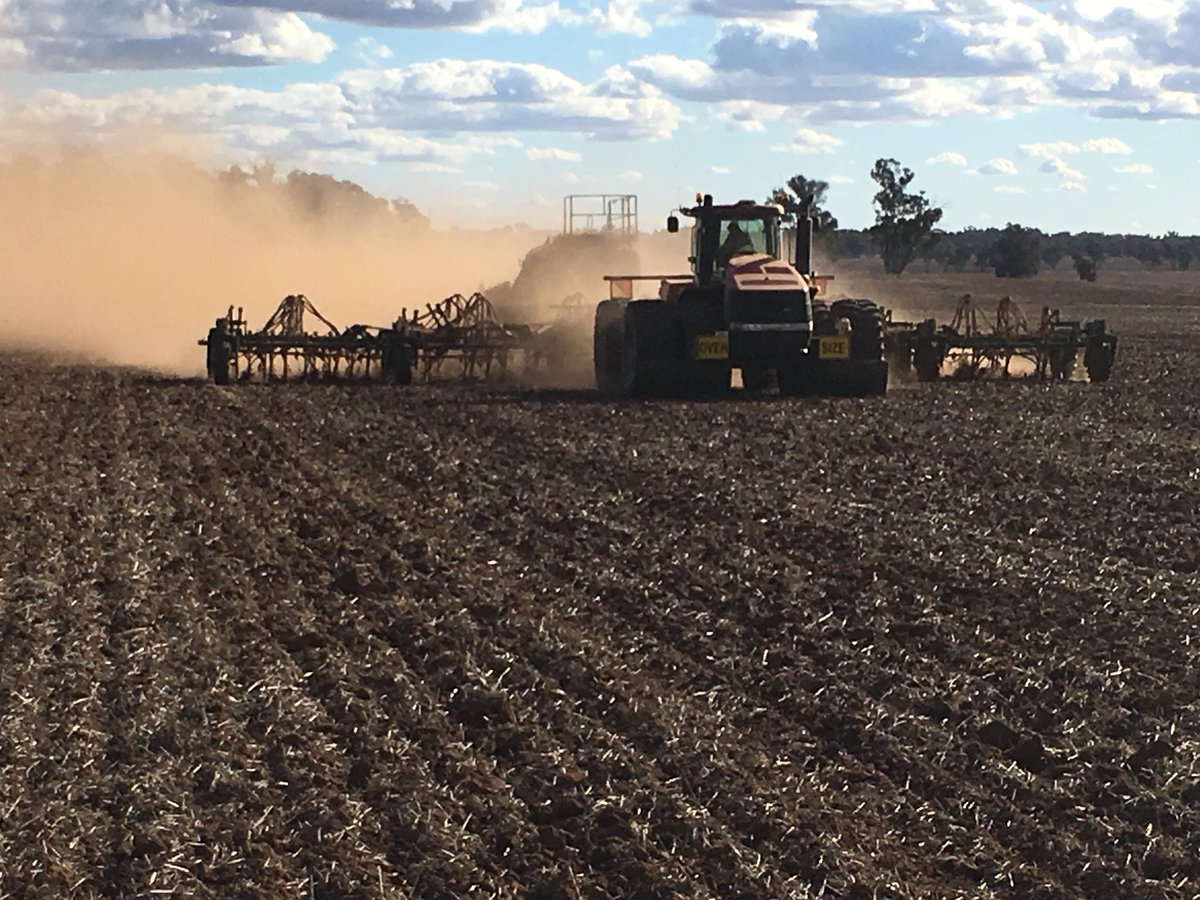 HardheadHarper's tweet photo. Finished #seeding2018 2 weeks ago. Now #reseeding2018 begins. Canola too thin from numerous false starts. Conditions almost identical. https://t.co/3HgruzzHc2