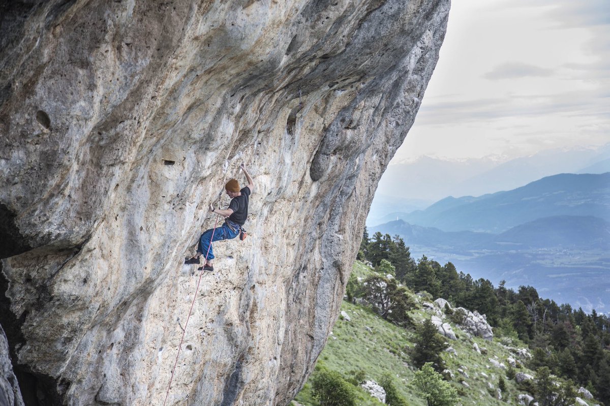 Daniel Gajda tweet media