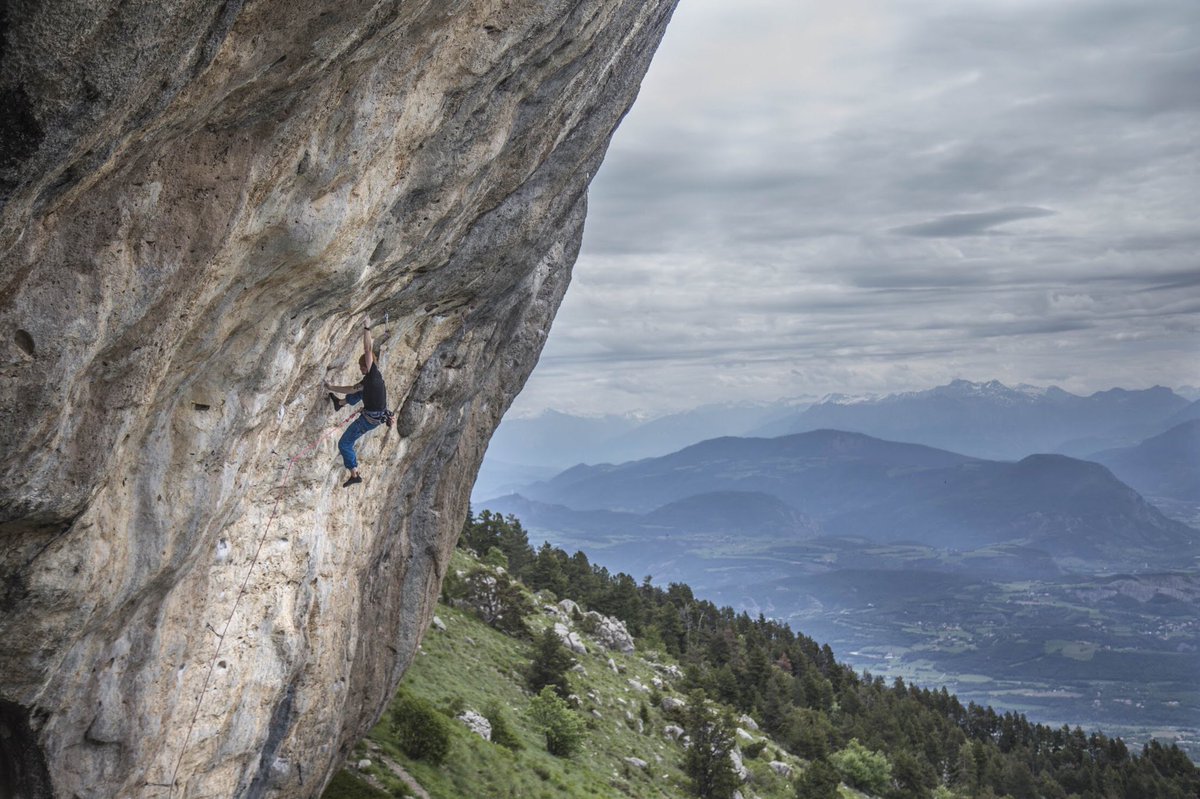 Daniel Gajda tweet media