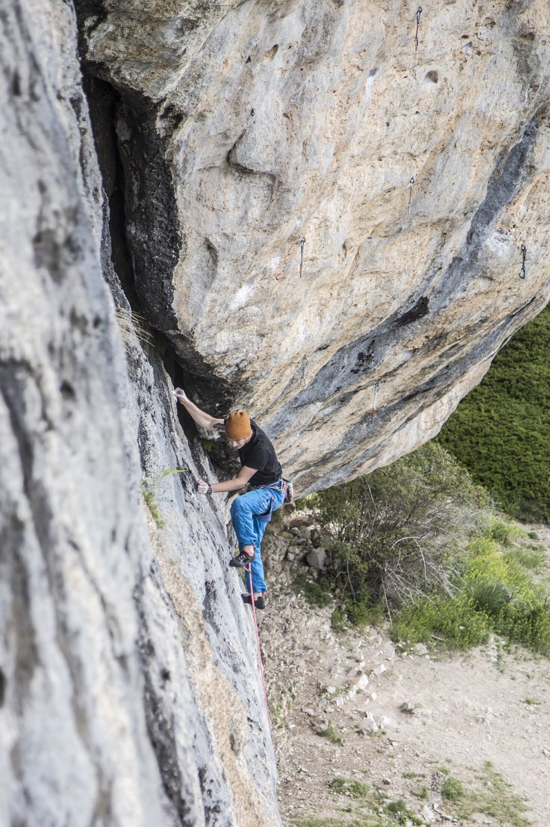 Daniel Gajda tweet media