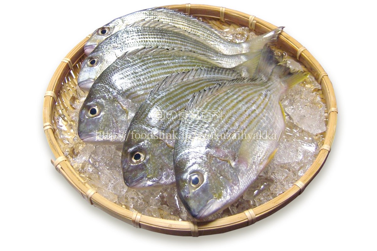 ট ইট র 旬の食材百科ーフーズリンク T Co U5m2cmnxof ヘダイ タイ科の魚で味 はマダイには及ばないにしてもクセが無く上品で淡白な白身魚で鮮度が良いものは歯ごたえもあり刺身も美味しい 価格はマダイなどと比べると格段に安いので 見かける事があれ ট ইট র 旬の食材百科ーフーズリンク T Co U5m2cmnxof ヘダイ タイ科の魚で味 はマダイには及ばないにしてもクセが無く上品で淡白な白身魚で鮮度が良いものは歯ごたえもあり刺身も美味しい 価格はマダイなどと比べると格段に安いので 見かける事があれ