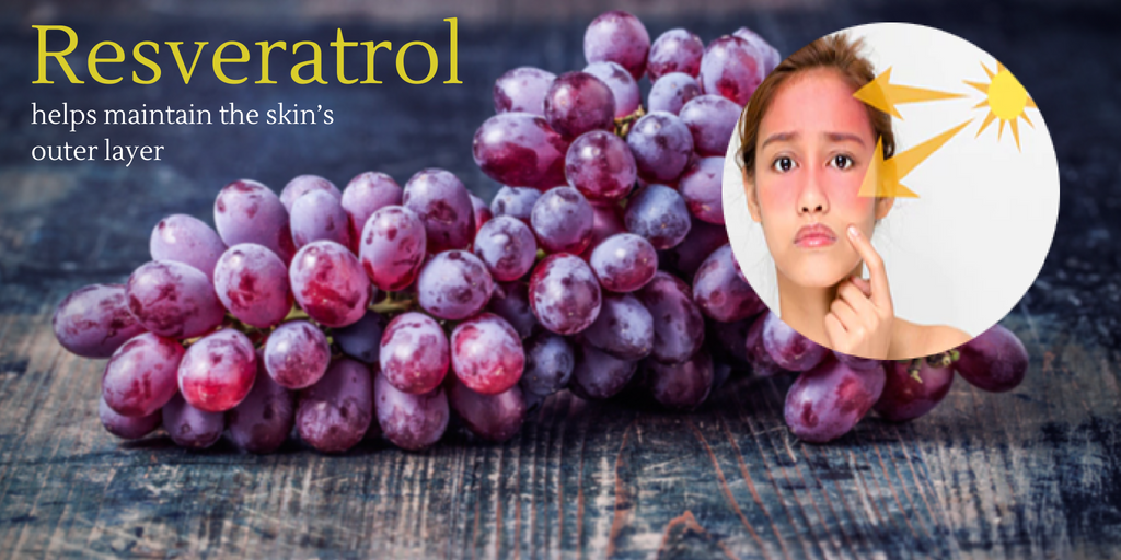 newpostupdate's tweet photo. Resveratrol, a naturally found phenol in the skins of the red grapes, can lower redness caused by acute sunburn. It contains antioxidant and has an anti-inflammatory effect that helps maintain the skin’s outer layer. #resveratrol #summer #skincare #postupdate https://t.co/nmjnqEl8vV