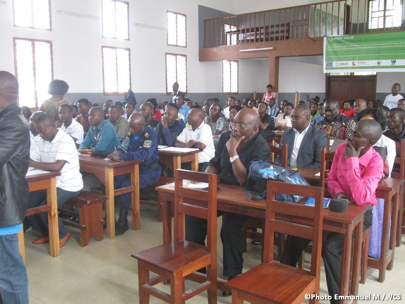 WCS RD Congo tweet media