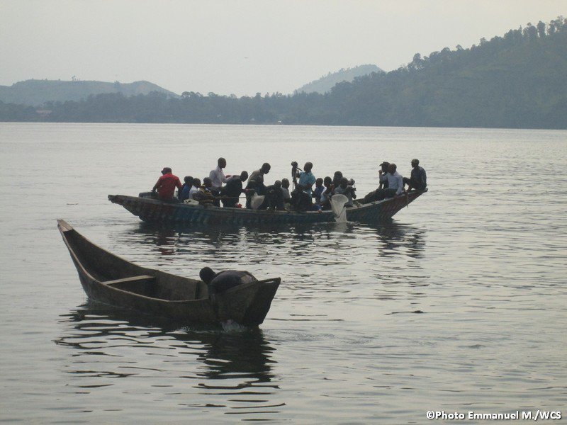 WCS RD Congo tweet media