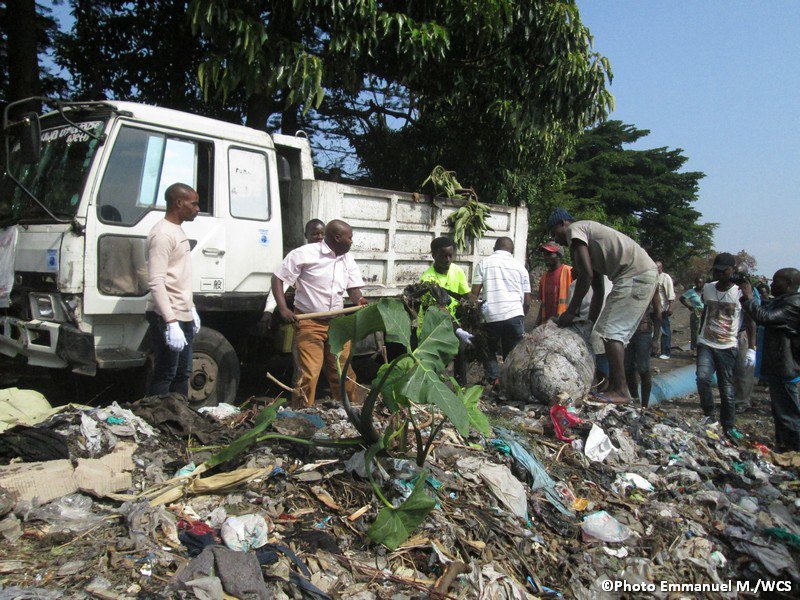 WCS RD Congo tweet media