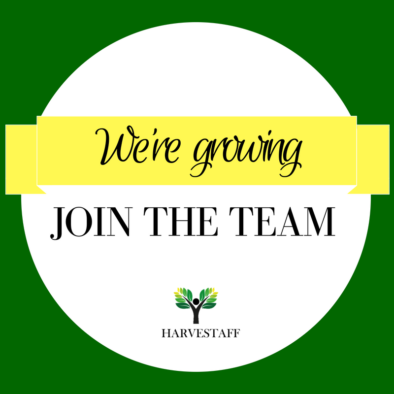 HarveStaff's tweet photo. We are hiring a Customer Service Representative - Intermediate for assignment in Creve Coeur, Missouri https://t.co/yg7BhszHgS #Missouri #CreverCoeur #CustomerServicesRepresentative #CustomerService #hiring #jobs #jobopening https://t.co/wQ6qYzl23U
