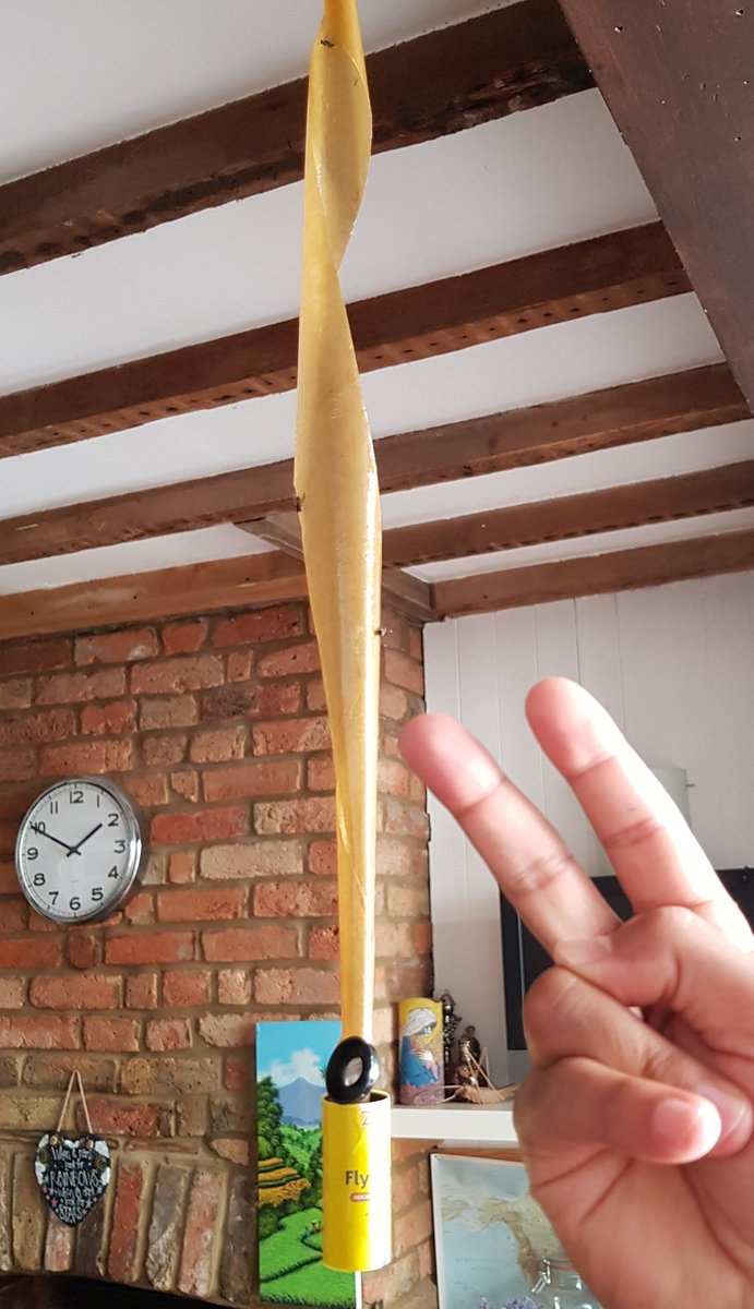 racingblogger's tweet image. The best £2 I've spent this week #Flyfreedom