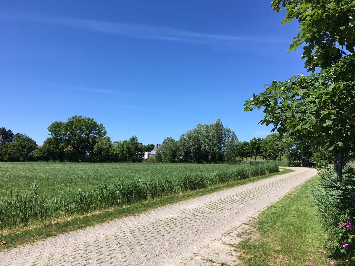 ImmobilienNowak's tweet photo. Gesprächstermin bei herrlichem Wetter
#Wangerland #Minsen #Nordsee https://t.co/3RaFsYa6E3