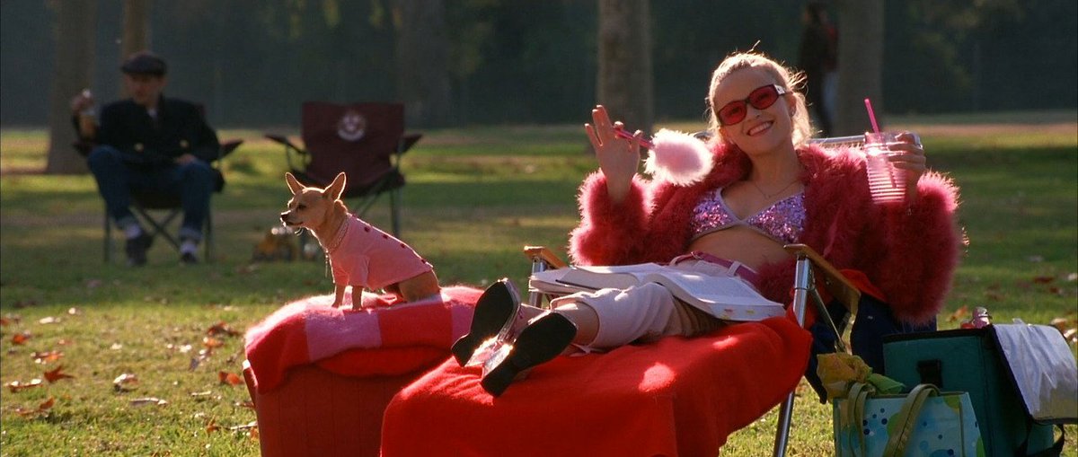 Legally Blonde 2001 If this movie doesn't inspire you to take on the w...