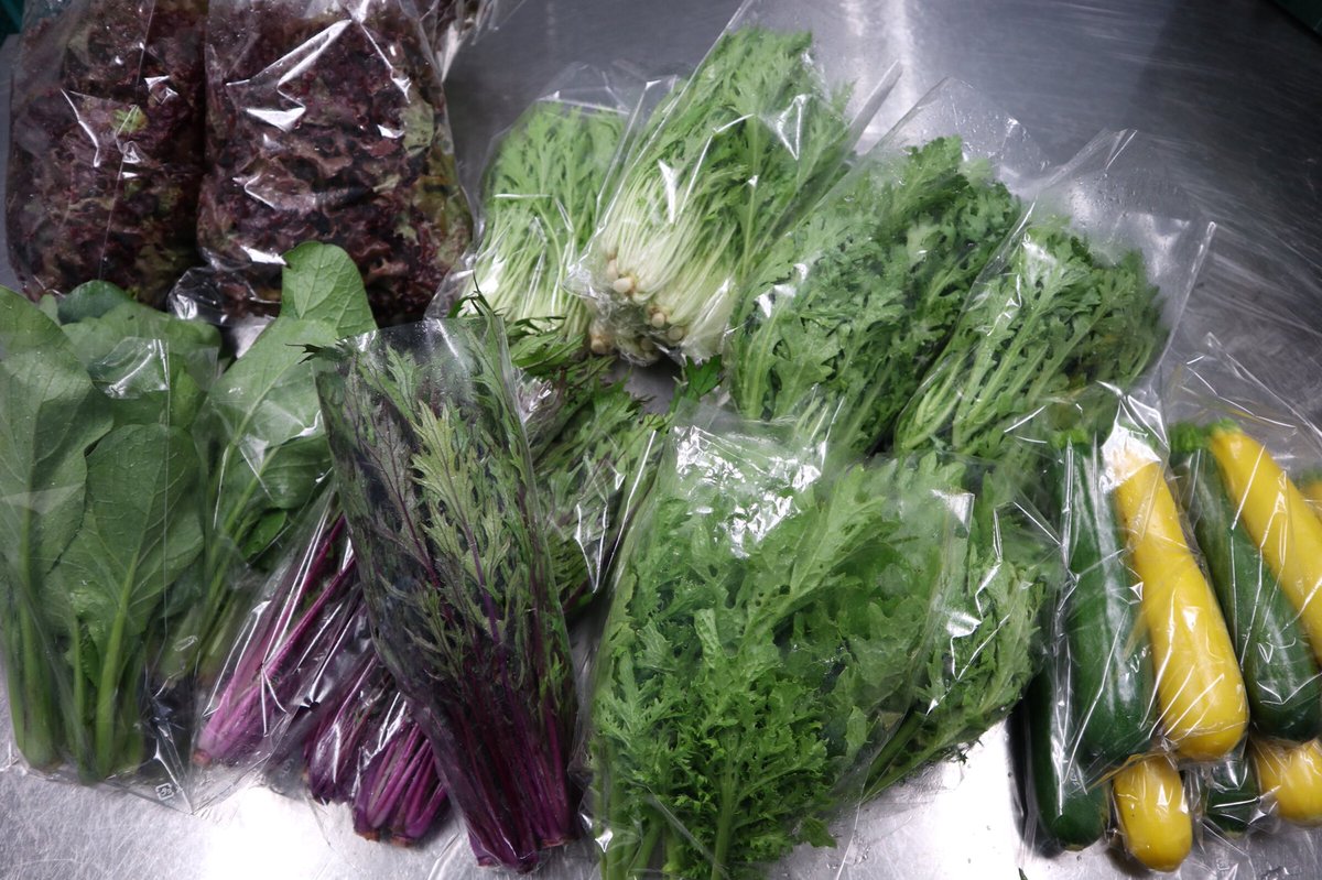 doronkoyasai's tweet photo. 今日はお野菜セットの出荷とは別のところへ出荷🎵
いろんな形で野菜を届けております✨ https://t.co/MAfHZ7cwa5
