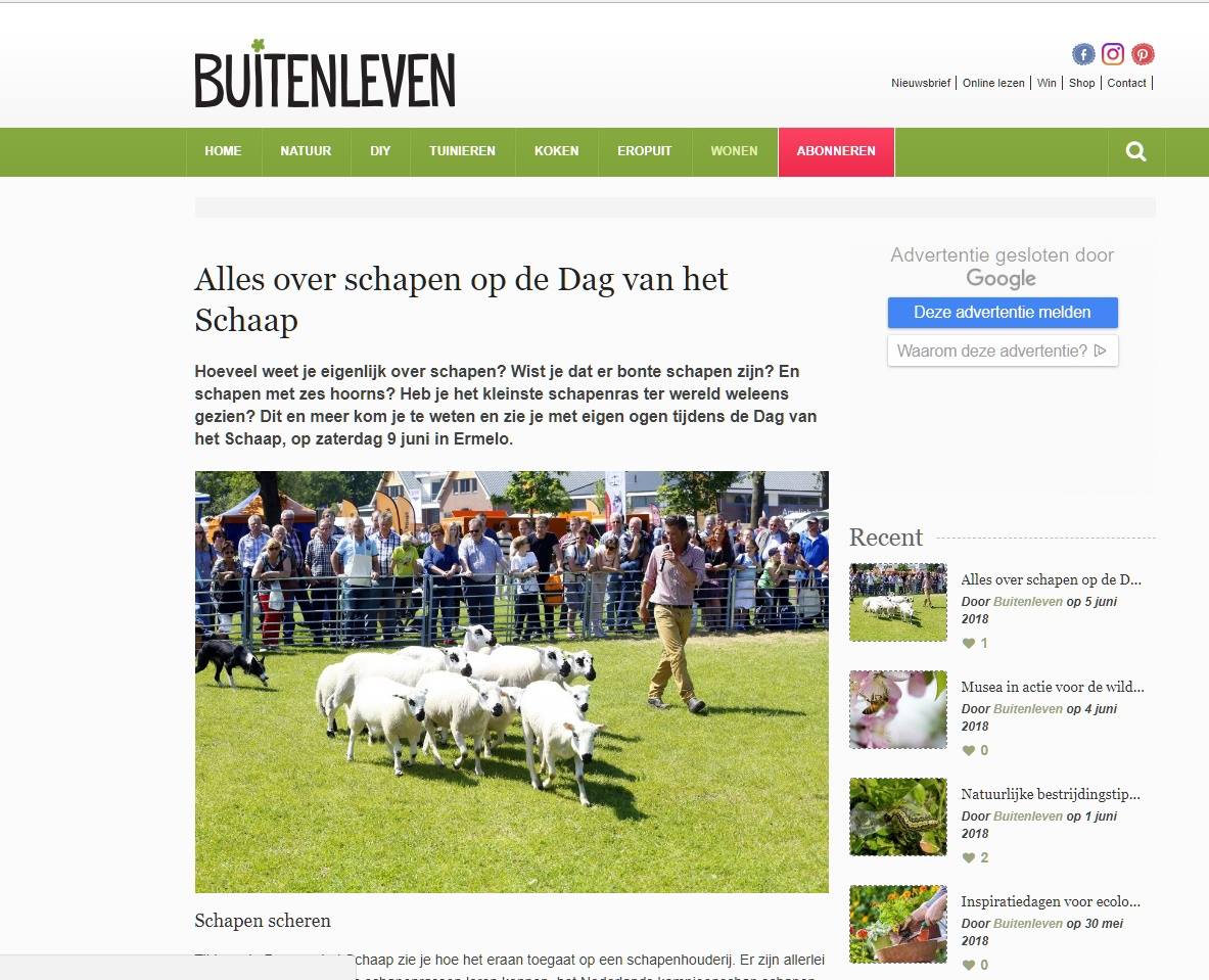 dagvanhetschaap's tweet photo. Het tijdschrift @Buitenleven besteedt online aandacht aan de Dag van het Schaap.
Bedankt voor het plaatsen van het bericht! https://t.co/lIfRg5mTOi