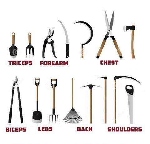 BurpeeGardening's tweet photo. Today is National Gardening Exercise Day! https://t.co/QR3vQbj7Tl