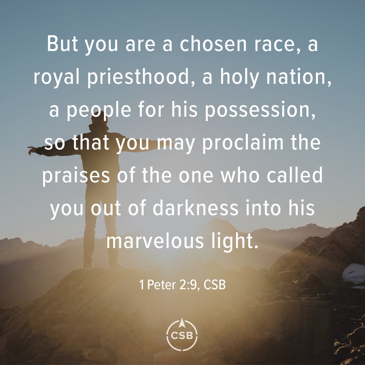 Christian Standard Bible En Twitter But You Are A Chosen Christian Standard Bible En Twitter But You Are A Chosen