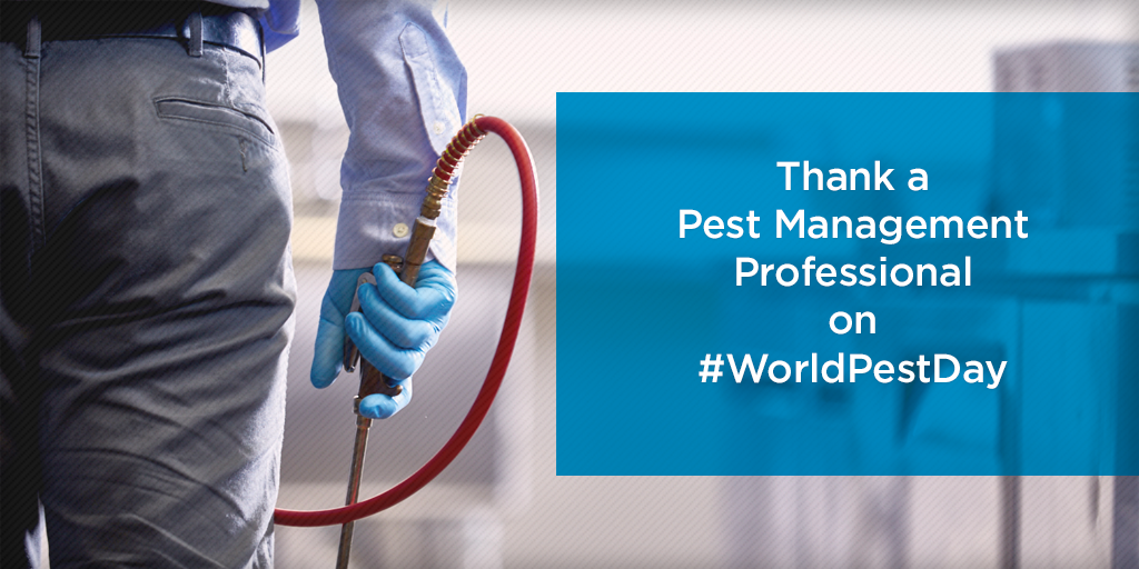 Thanks to all PMPs for the role they play in providing important #pestcontrol services every day. #WorldPestDay <a href="/NationalPestMgt/">NPMA</a>
