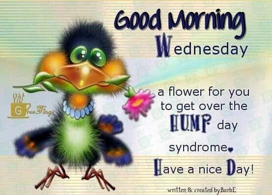 GOP31_Official's tweet photo. Good morning on this great Wednesday! I am sending you good vibes to enjoy with your morning coffee so you feel that positive vibration to guide you through the day to achieve your goals.
#happyhumpday #goodmorningwednesday #positivevibes #lawofattraction #weekalmostover https://t.co/ke3hMAgS3Q
