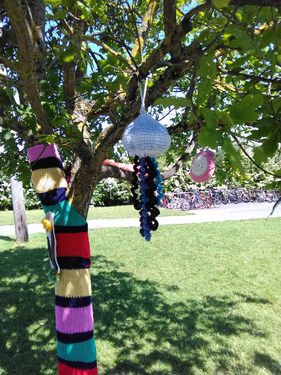 LouiseMorbin's tweet photo. #kildareyarnbomb #newbridge https://t.co/WxopfCbg0v