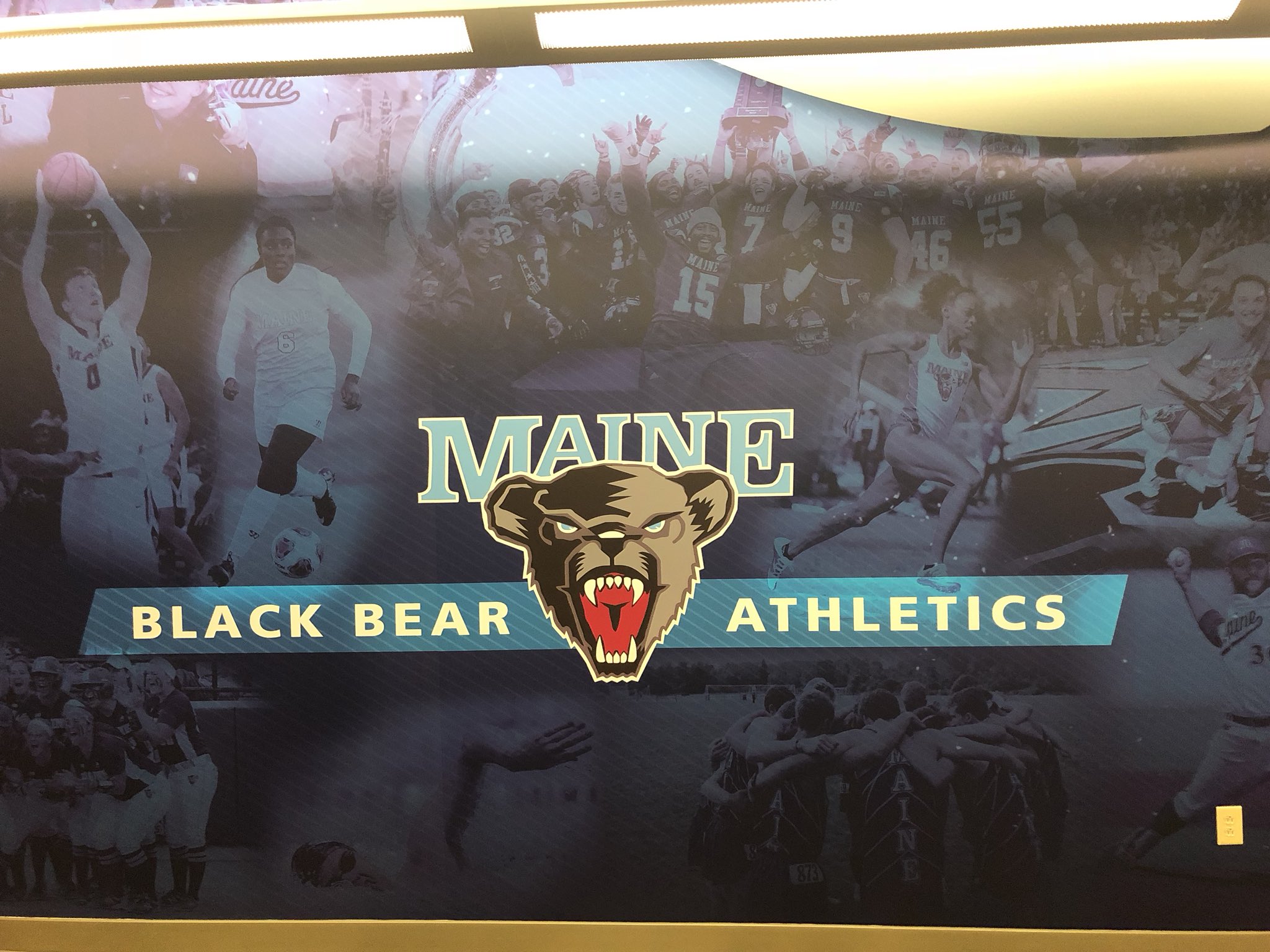 Maine Athletics Logo