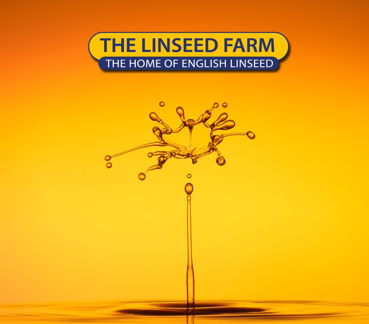 Here at The Linseed Farm we cold-press our linseed to make the freshest oil for customers. 
Our family has been farming for hundreds of years. In the year 2000 we started The Linseed Farm.
Our story: thelinseedfarm.co.uk/about-us/our-s…
#buy #omega3 #localfood #British #Food #healthy