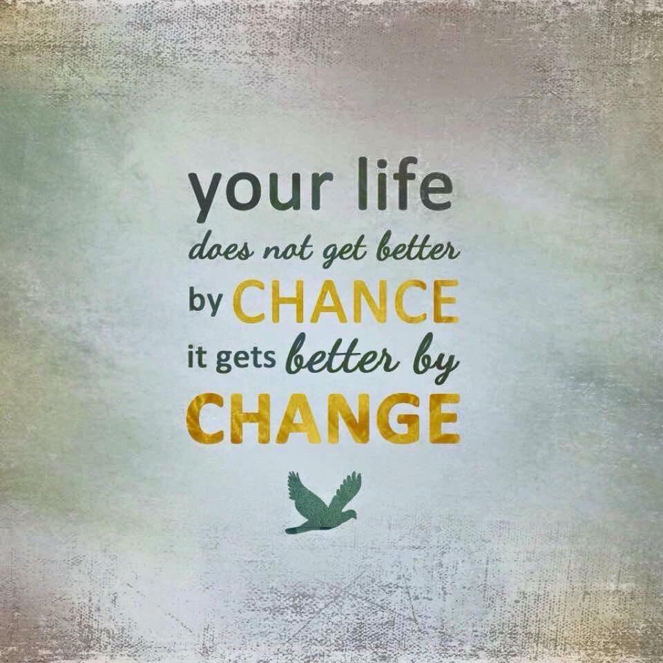 Mimi Gourley tweet media