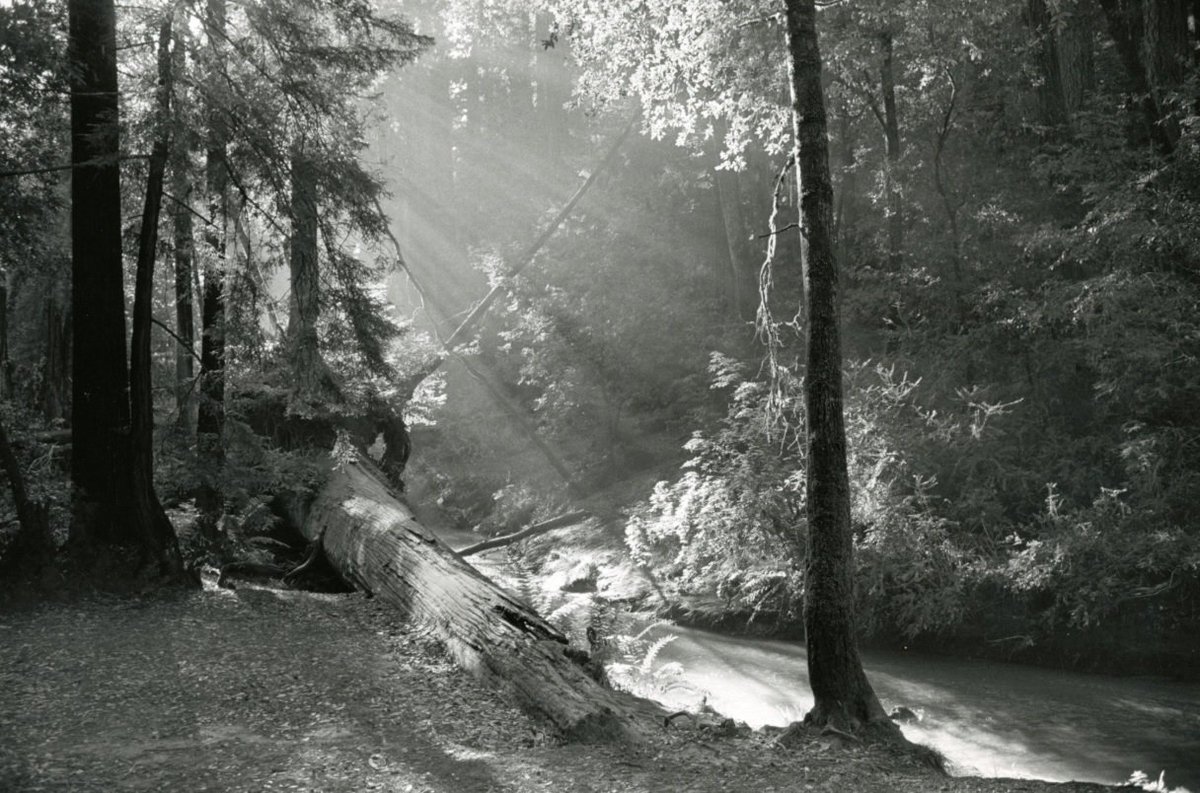 With 82 percent of precincts reporting as of this morning, it looks like Prop. 68 has passed.

Yes: 56% No: 44%
20,389 / 24,849 precincts reporting

Thank you to everyone for voting in favor of California's parks and water! #YesOn68