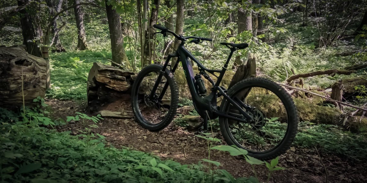 6e66o's tweet photo. I think i swallowed a bug or two riding in the forest today. 🐝 🍴🍺
#yummy #freeprotein https://t.co/Wa8zMlZzZu