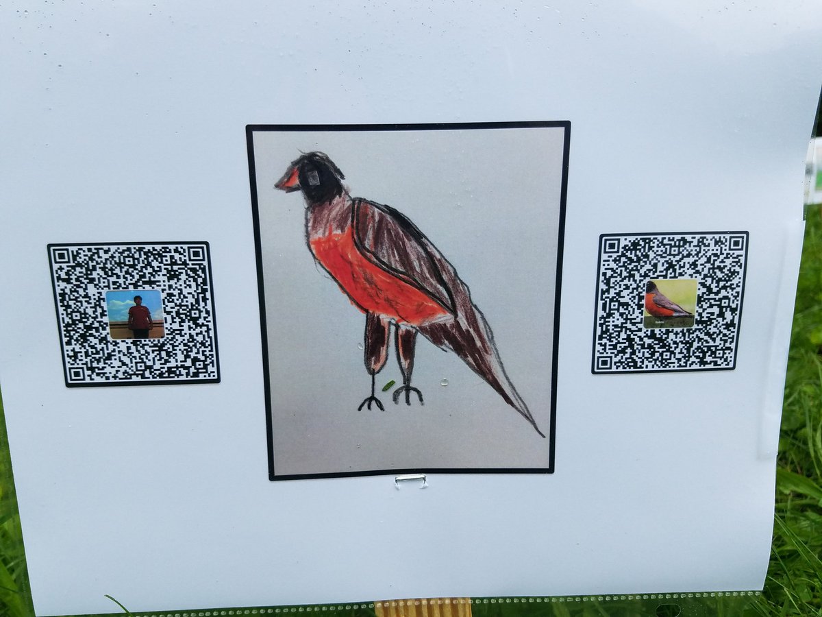 HeatherTechTST's tweet image. @BelleShermanES celebration of learning! wonderful opportunity for students to share and reflect on their learning. #EEE #icsdedtech