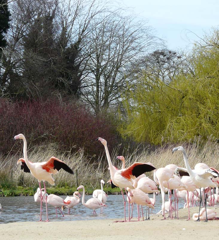 uppercourt's tweet photo. Lots to do when you bring your extended family and friends #holidaycottages #cotswolds #family #friends #allthegenerations #slimbridge #walking #swimming #villagepub #tennis #theatre https://t.co/zJw1nVz3S7