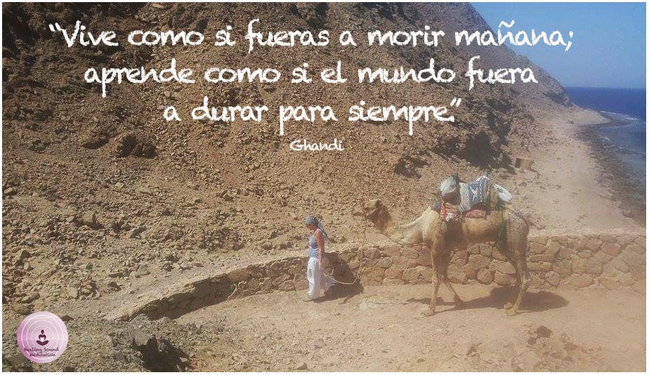 anamarotomingo's tweet photo. ¡VIVE!
#traveller #dahab #quotes https://t.co/Y69b3yiMs1