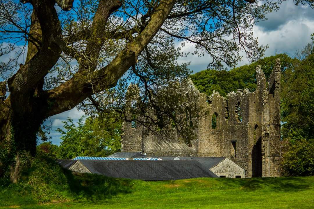 JCInsight's tweet photo. A few snaps from a walk at Belvedere house and gardens. Located in County Westmeath in Ireland. Absolutely stunning walk on a gorgeous summers day ❤🍀 https://t.co/XlErS6DOBr