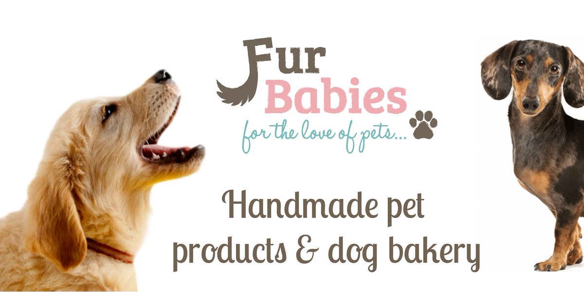 fur babies pet care