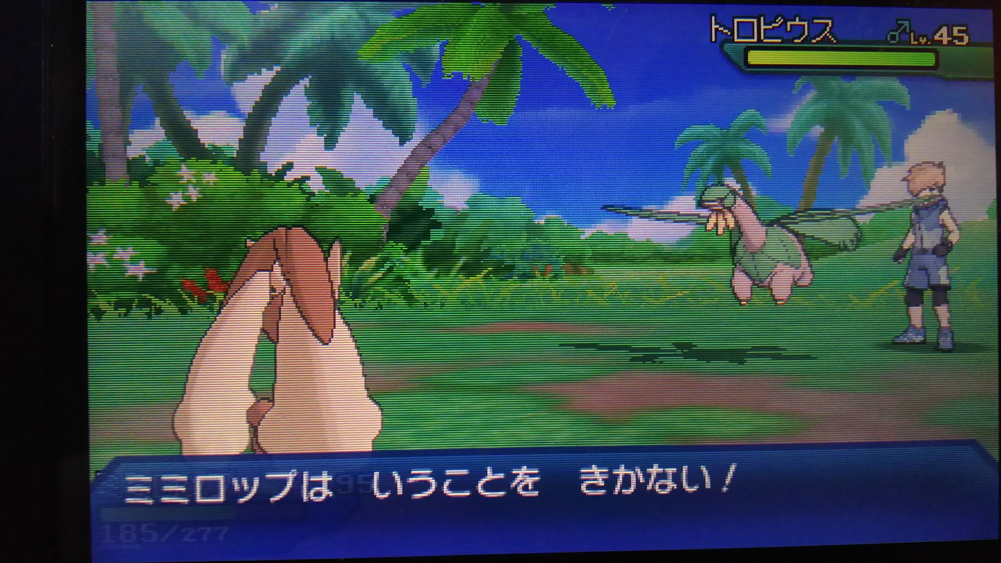 ﾋﾞｵﾗ ﾋﾞｵﾗｾｱ アルファサファイアから連れてきたミミロップがツンデレっぽくて萌える T Co Uwnpec7b2t Twitter