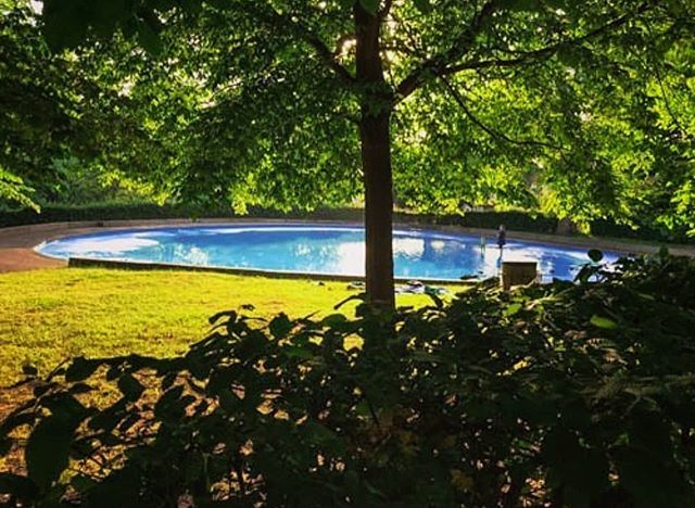MyStreatham's tweet image. Who knew we had a #paddlingpool on #streathamcommon? Anyone know how to find it? Thanks @markbery for sharing. #mystreatham #streatham #streathamhill #streathamvale #streathamhighroad #streathamhighstreet #southlondon #swlondon #london #londontown #londo… ift.tt/2xLVak5