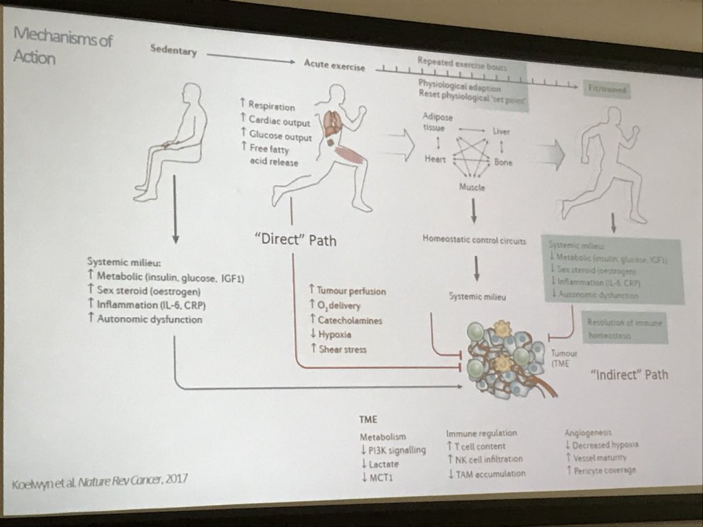 ClareLaitPhysio's tweet photo. An opinion paper looking at the potential mechanism of action on the benefits of exercise on tumour growth Koelwyn et al 2017 #icpto2018 https://t.co/JGkVKlCnRM