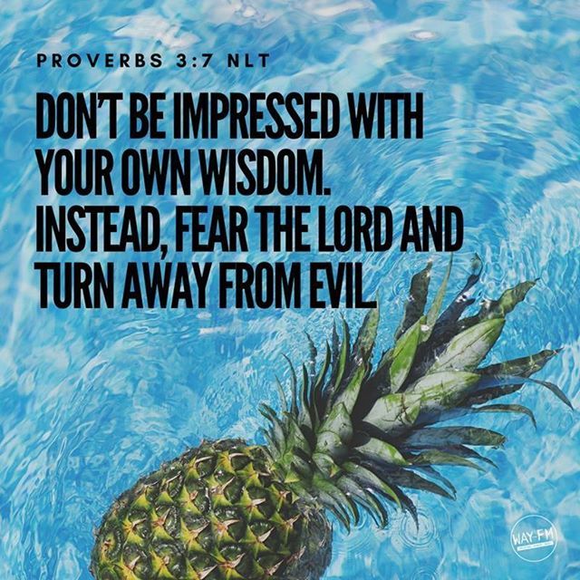 WayFMHuntsville's tweet photo. #Scripture #WordOnTheWay #TheValleysWayFM #iHeartHSV #Uplifting #Upbeat #Real #WAYFMHuntsville https://t.co/5ZoiAlNmJK https://t.co/8Tz2lmQ5v1