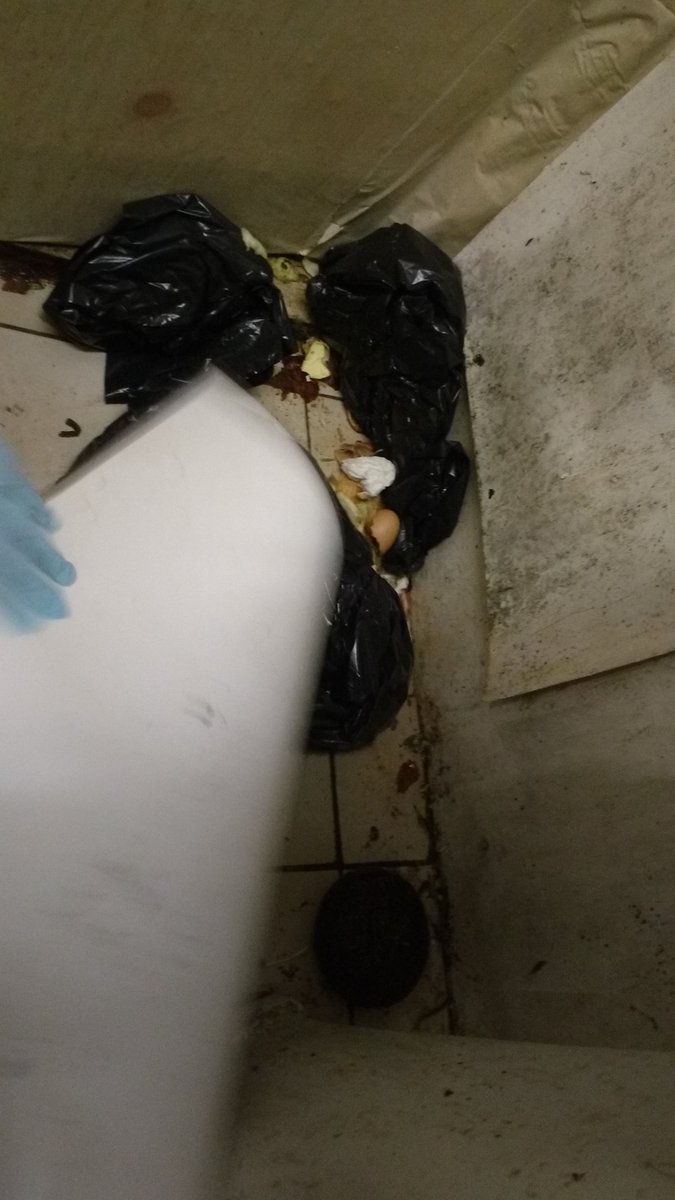 SER_Services's tweet photo. Just some of the scenes we Local Authority Officers deal with while out #ProtectingYourPlate #KingstonFoodSafety #SuttonFoodSafety https://t.co/yVZz1qygkq