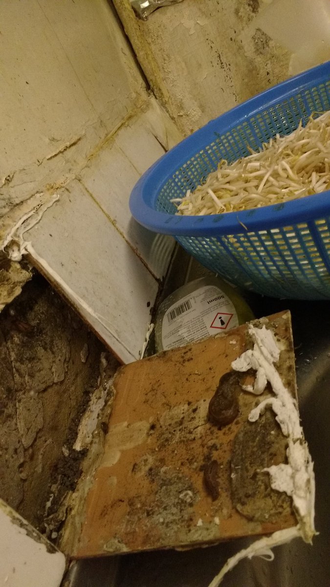 SER_Services's tweet photo. Just some of the scenes we Local Authority Officers deal with while out #ProtectingYourPlate #KingstonFoodSafety #SuttonFoodSafety https://t.co/yVZz1qygkq