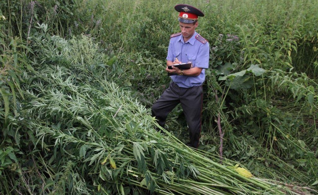 Где растет конопля в казахстане как нейтрализовать тест на марихуану