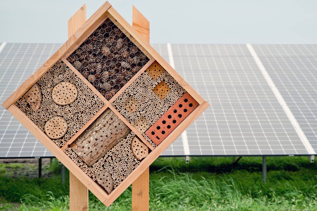 bijenhotelkopen's tweet photo. Zonnepark De Groene Wueste in @GemWierden is klaar! Voor de opening hebben wij in opdracht van @asnbank een groot Nomada bijenhotel mogen leveren. #energie #biodiversiteit #bijen #winwin Foto: @SimonDirksMedia https://t.co/YJAjHj0vqO