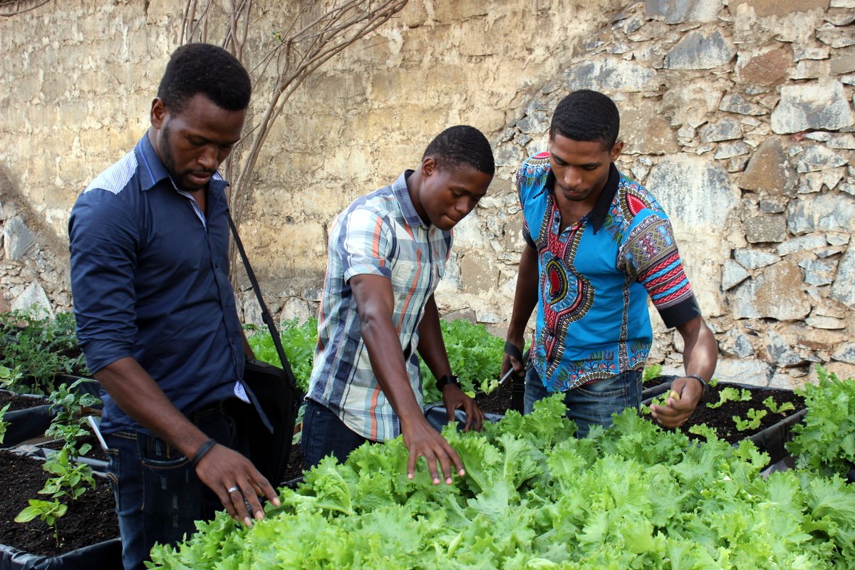 FAO4Members's tweet photo. #SouthSouthCooperation is playing a greater role than ever before in the international development cooperation landscape https://t.co/zqxCkiDOyP

#CL159 #SDGs #ZeroHunger https://t.co/WlXbtbRBY1