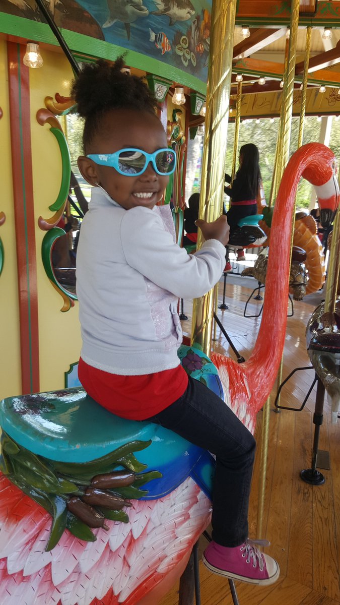 matrix_detroit's tweet photo. Several of our #MatrixHeadStart centers on recent @detroitzoo field trips! Our students attended with parents & #HeadStart teachers.
FULL ALBUM: https://t.co/IinTIomyp5
All enjoyed an awesome day outdoors & had lots of fun! #MatrixMission #DetroitLove #Detroit #DetroitZoo #MI https://t.co/BRGzeRiW9q