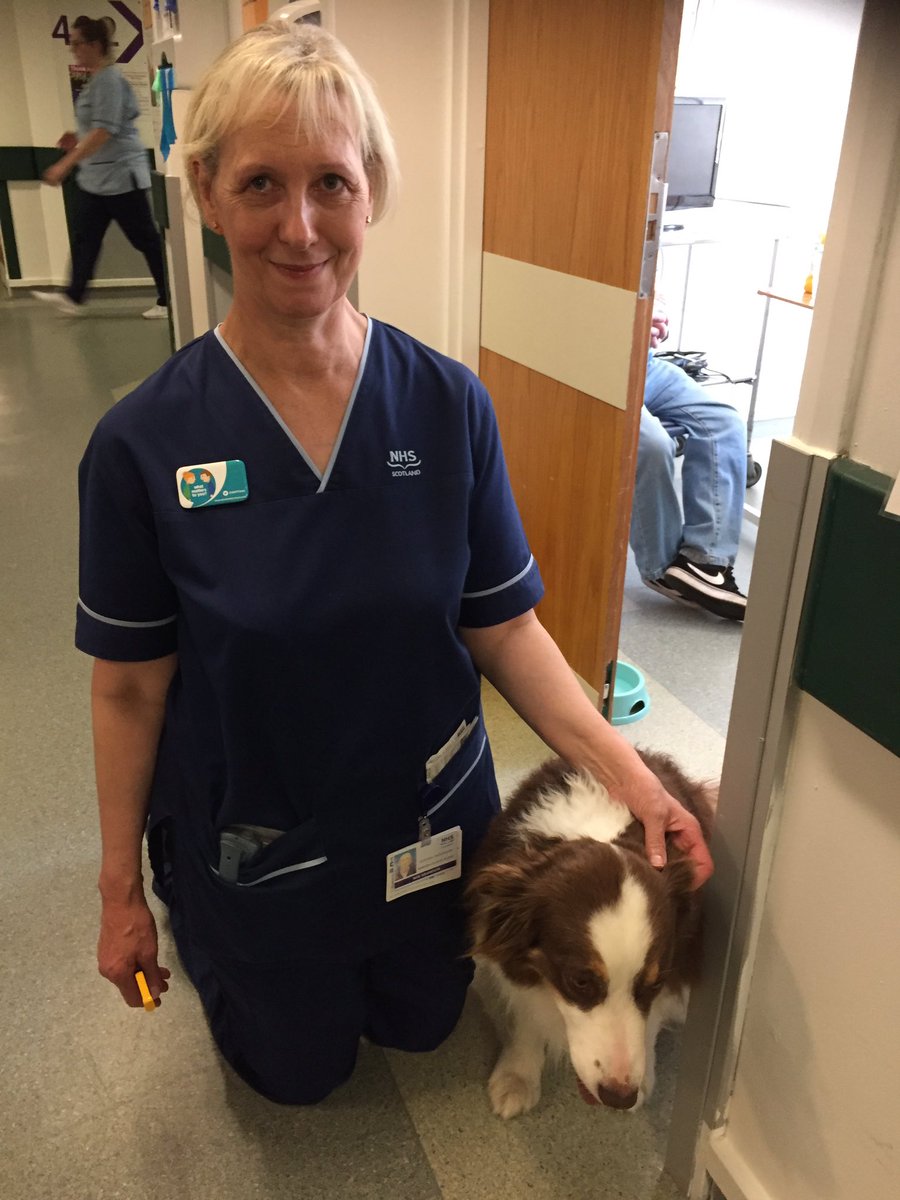 rpurka's tweet photo. Ruby was also visiting #Acutestrokeunit @NHSg_SafeTeam @WMTYScot @NHSGrampian #WMTY18 https://t.co/7KmOx0dY5t