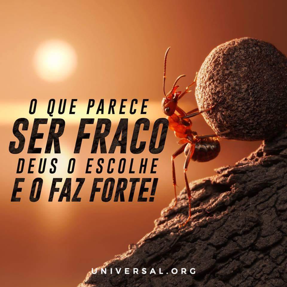 CearaUniversal's tweet photo. "Deus escolheu as coisas fracas deste mundo para confundir as fortes."
(1 Coríntios 1:27)
#UniversalCE https://t.co/iGl2QkQPVt