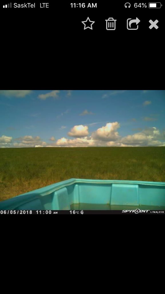 CRToney2's tweet photo. It sure is nice to check on my watering system twice a day from wherever I am. #Sundogsolar https://t.co/lG4Ud3hqoO