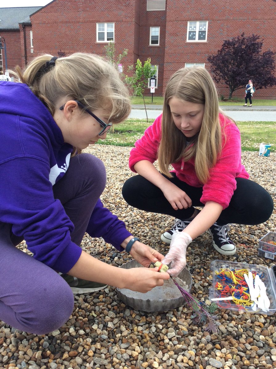 ColbyIMS's tweet image. Building and planting our hydroponic tower gardens today.  Thank you @Changeissimple1 @revisionsolar for making this possible.
