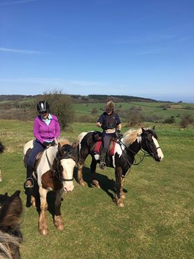 QuantockTrekkin's tweet photo. Fantastic views seen on horseback, try it for yourself with a friend or two!! @FrofQuantock  @Quantockhills @WellBeing_Mag @photosRgw @secretsomerset @horsemagazine @EquineJournal @Equitrekking https://t.co/EBHFT7hA0l