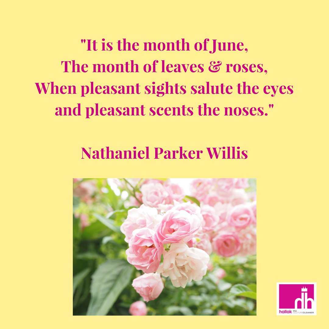 hallakcleaners's tweet photo. #JuneQuote #Quotes #quotesoftheday #quoteswednesday #flowers #June https://t.co/iNrPidDTsP