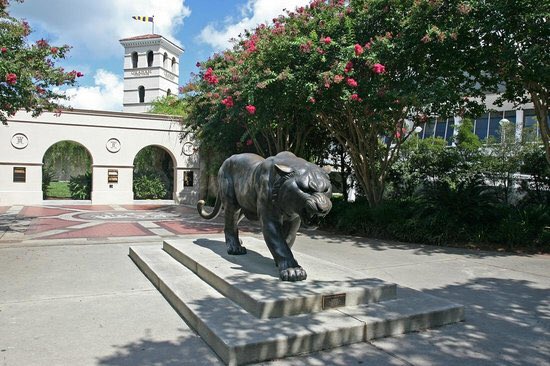 US_Campuses's tweet photo. Louisiana State University— Baton Rouge, LA https://t.co/fclXZJRXjB